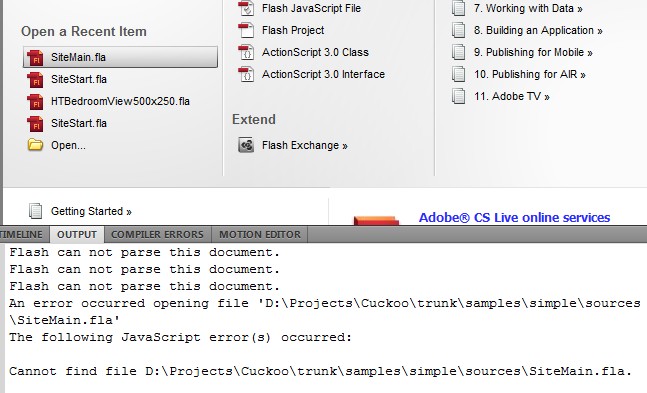 flash_cs5_4.jpg